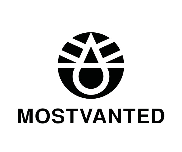 Most wanted logo web